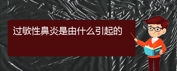 (貴陽(yáng)治過敏性鼻炎到哪個(gè)醫(yī)院)過敏性鼻炎是由什么引起的(圖1)
