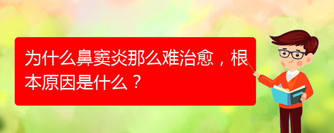 (貴陽(yáng)治療鼻竇炎要多少費(fèi)用)為什么鼻竇炎那么難治愈，根本原因是什么？(圖1)