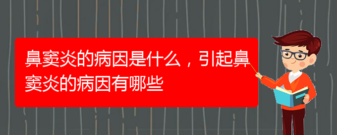 (治鼻竇炎貴陽(yáng)哪家醫(yī)院好)鼻竇炎的病因是什么，引起鼻竇炎的病因有哪些(圖1)