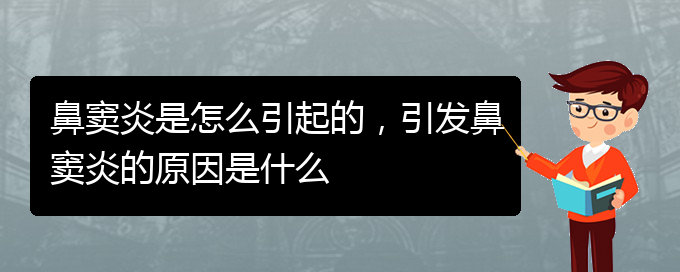 (鼻竇炎治療醫(yī)院貴陽)鼻竇炎是怎么引起的，引發(fā)鼻竇炎的原因是什么(圖1)